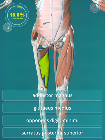 Screenshot #5 pour Anatomy Quiz - muscles and bones