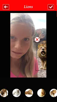 Lion Booth iphone bilder 1