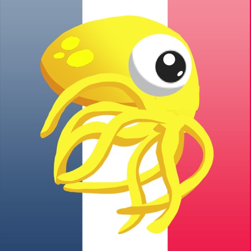 Smartopus Francés icon