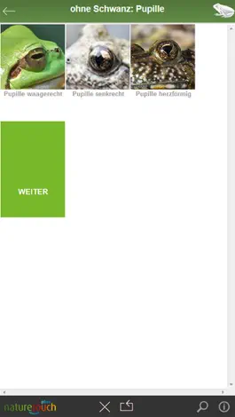 Game screenshot Frösche, Kröten, Unken bestimmen hack