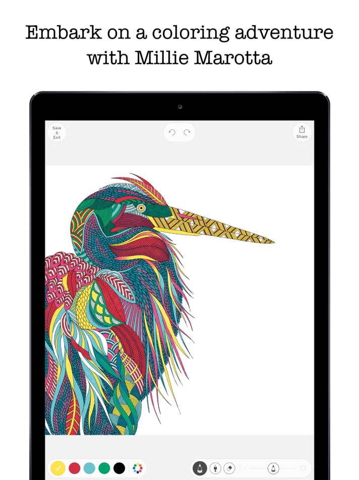 Coloring Adventures - 1.1.5 - (iOS)