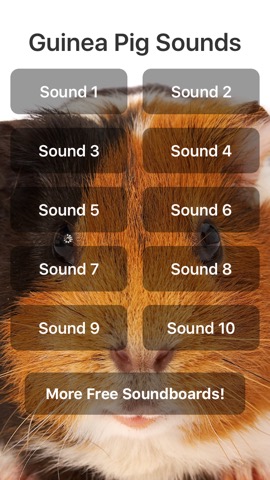 Guinea Pig Soundsのおすすめ画像1