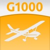 Garmin G1000 Checkout