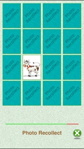 Photo Recollect - Polish your Brain screenshot #2 for iPhone