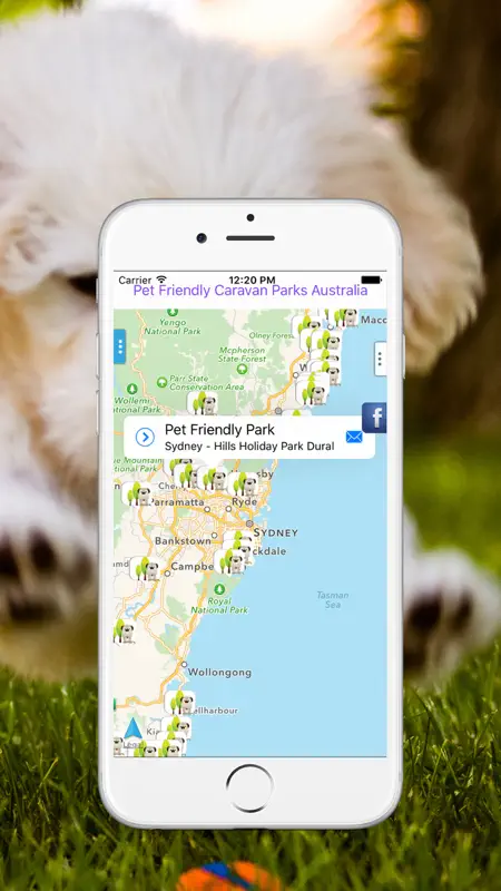 Pet Friendly Caravan Parks Australia screenshot 1 of 4