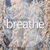 Breathe Weight Loss Meditation – The Ultimate Guided Weight Loss Meditation