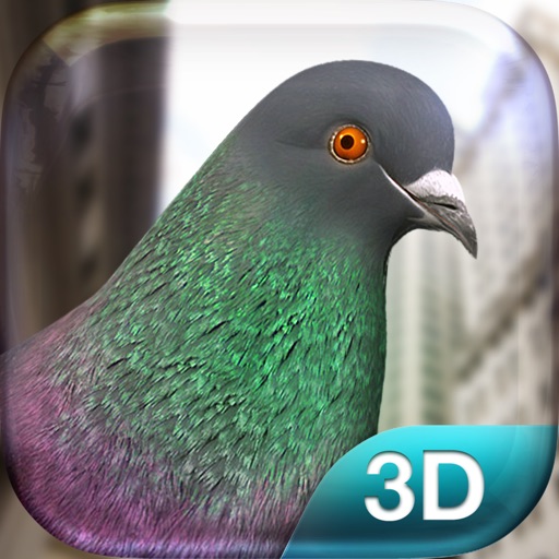 Pigeon Simulator icon