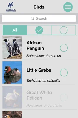 Game screenshot Sasol Common Birds for Beginners (Lite): Quick facts, photos and videos of 46 common southern African birds apk