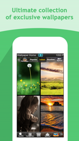 HD Wallpapers Backgrounds screenshot