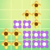 Shape Shifting Flower Frenzy - top mind puzzle