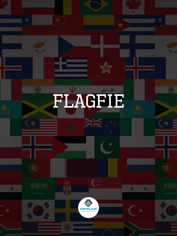 Flagfie - Selfie with Flag iPad screenshot 1 - Photo & Video app
