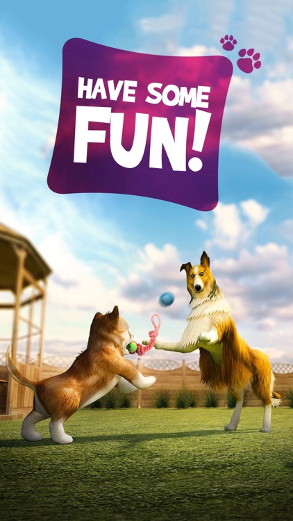 Dog Simulator 2015 screenshot-4