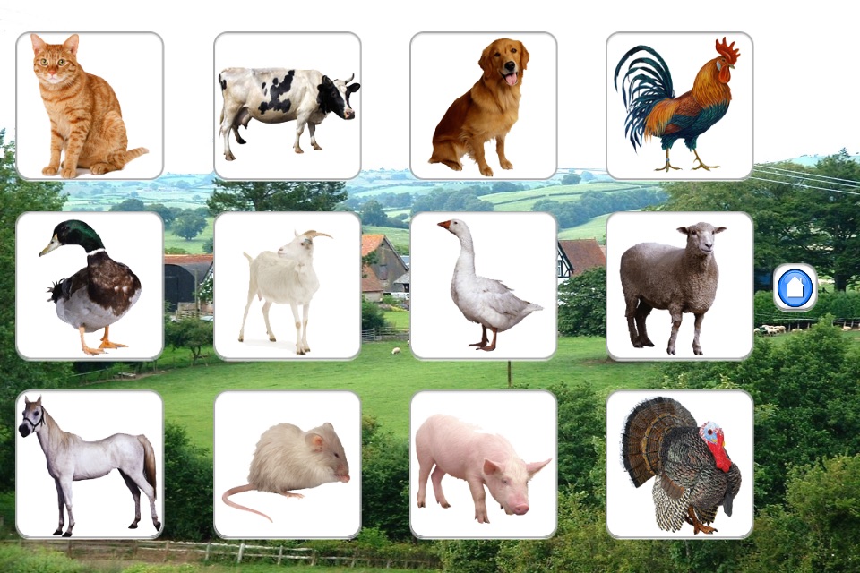 Sounds of Farm Animals screenshot 2