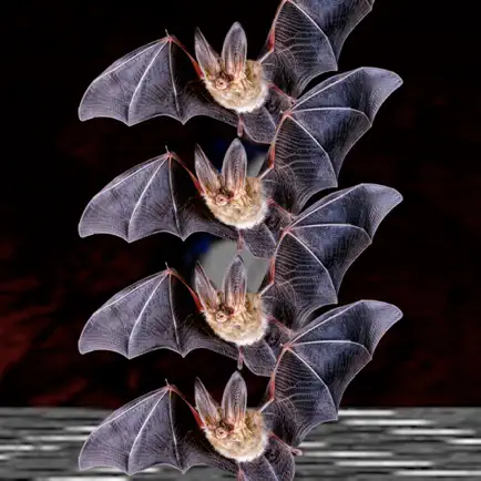 The BatCave Cheats