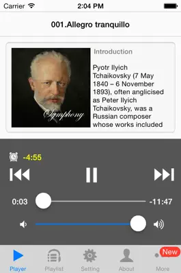 Game screenshot Tchaikovsky Symphony mod apk