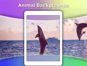 fexypano - panorama wallpapers ipad resimleri 3