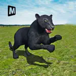 Revenge of Real Black Panther Simulator 3D App Contact
