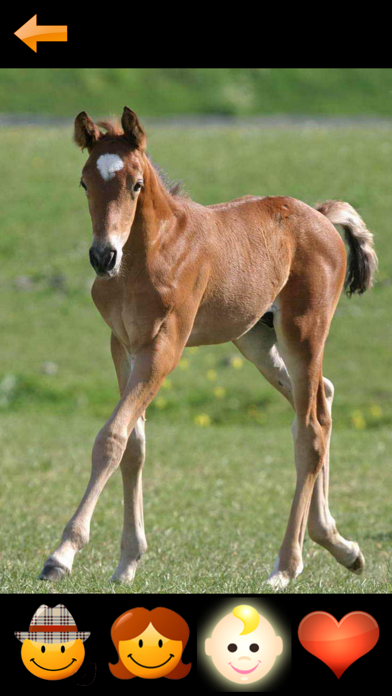 ZOOLA 動物のおすすめ画像2