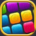 Fruit Block Puzzle Game – Fit Colorful Blocks and Solve HD Levels for Brain Training in1010 Box