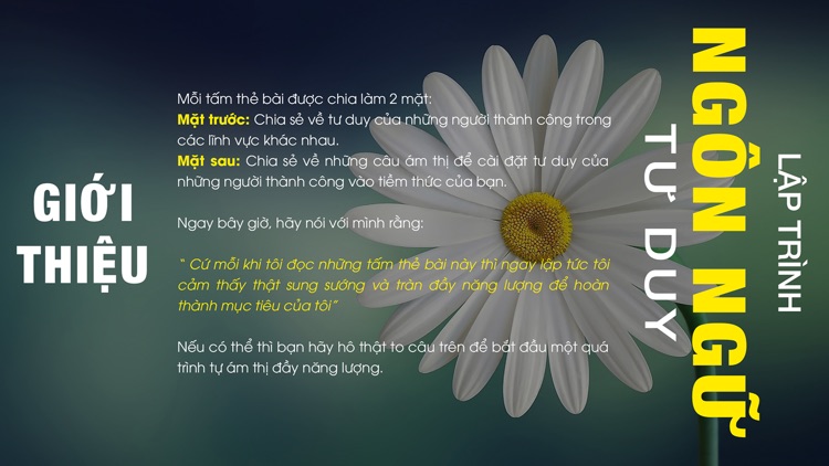 Lập Trình Ngôn Ngữ Tư Duy