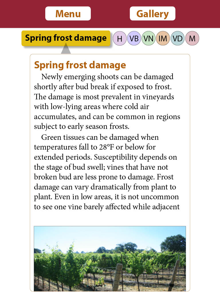 Vineyard Growth screenshot 5