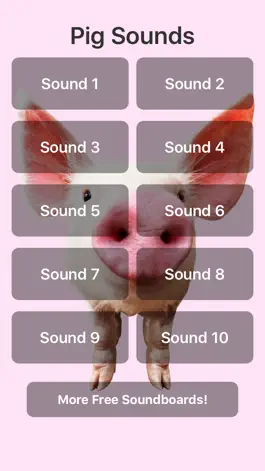 Game screenshot Pig Sounds mod apk