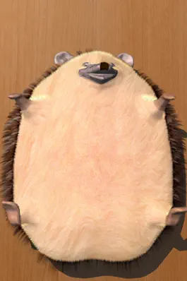Game screenshot Super Belly Rub: Hedgehog Massage Parlor hack