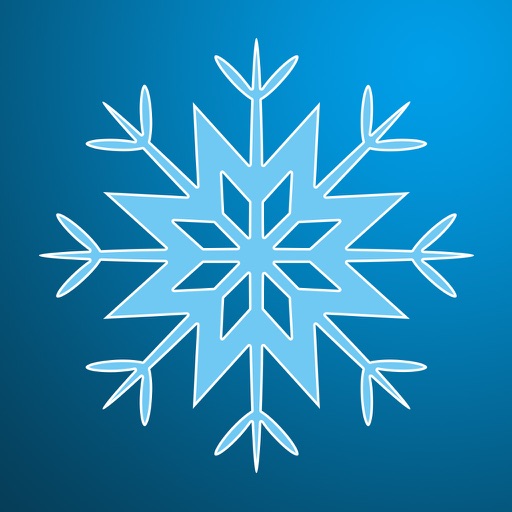 Catch the Snowflakes