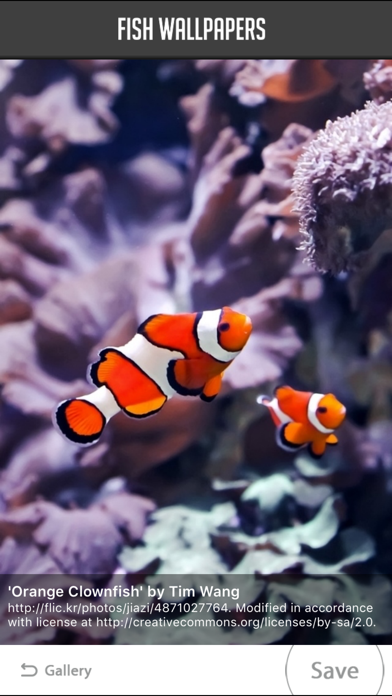 Screenshot #2 pour Fish Wallpapers!