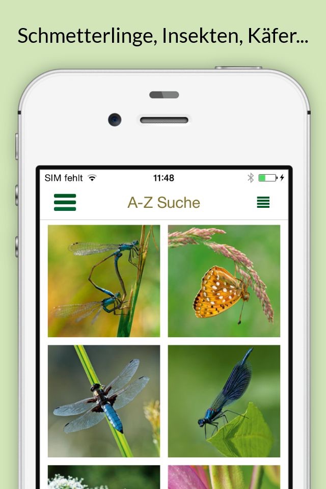 Insekten & Schmetterlinge bestimmen – entdecken Sie die 100 wichtigsten Arten in der Natur und im eigenen Garten screenshot 2
