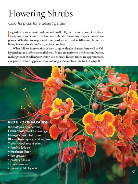 Phoenix Home & Garden 2015 Garden Guide