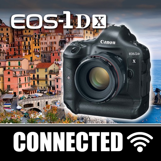 Canon 1DX Advanced Overview