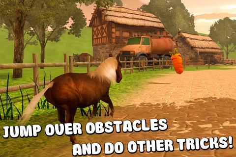 Pony Horse Riding 3D screenshot 2