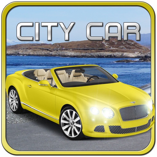 Sport Car Traffic Driving icon