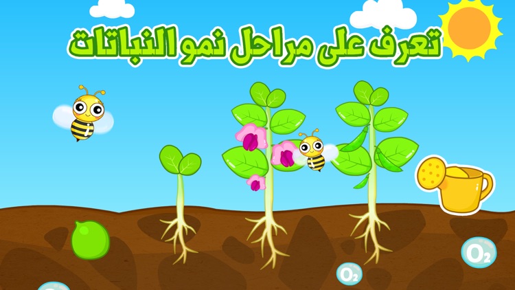 البذرة السحرية - العاب براعم