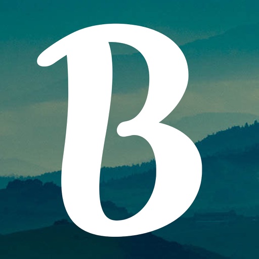 Bradford County Tax Collector by VisualGov Solutions LLC