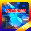 PRO - Oceanhorn Game Version Guide