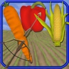 Vegetables Arrow Preschool Learning Experience Bow Game