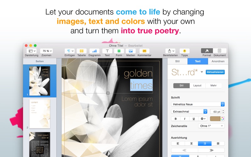 SpiceUp Brochures for Pages thumbnail 3