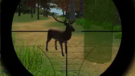 Game screenshot Russian Hunting 4x4 apk