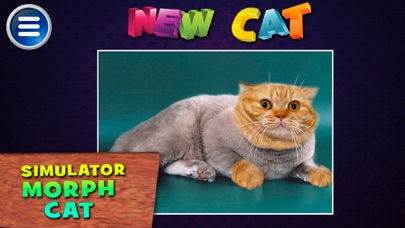 Screenshot #2 pour Simulator Morph Cat