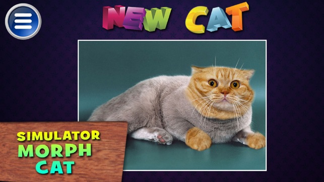 Simulator Morph Cat(圖2)-速報App