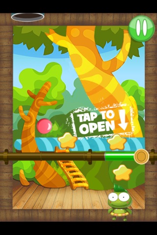 Frog Hog-A puzzle sports game screenshot 4