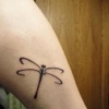 Best Dragonfly Tattoo Designs