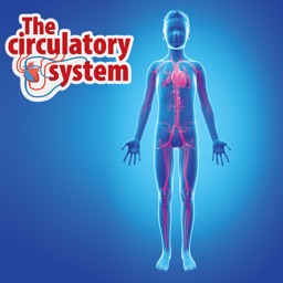 Circulatory System