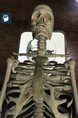 Anatom 3D screenshot 4