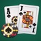 viParty - Black Jack is a poker game which is suitable for party