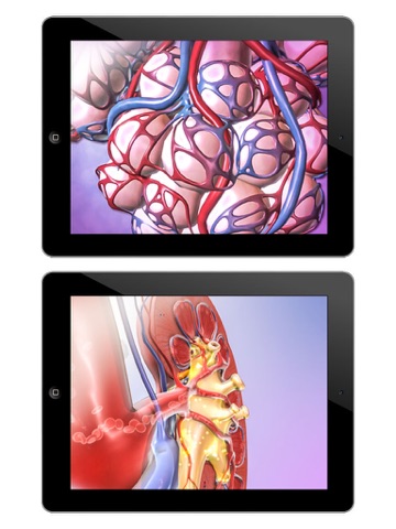 Screenshot #5 pour For Organizations - 2016 Physiology Animations