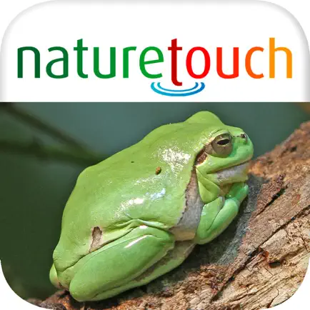 Frösche, Kröten, Unken bestimmen Cheats