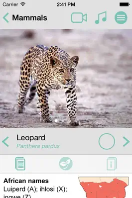 Game screenshot Sasol Mammals for Beginners (Lite): Quick facts, photos and videos of 46 southern African mammals hack